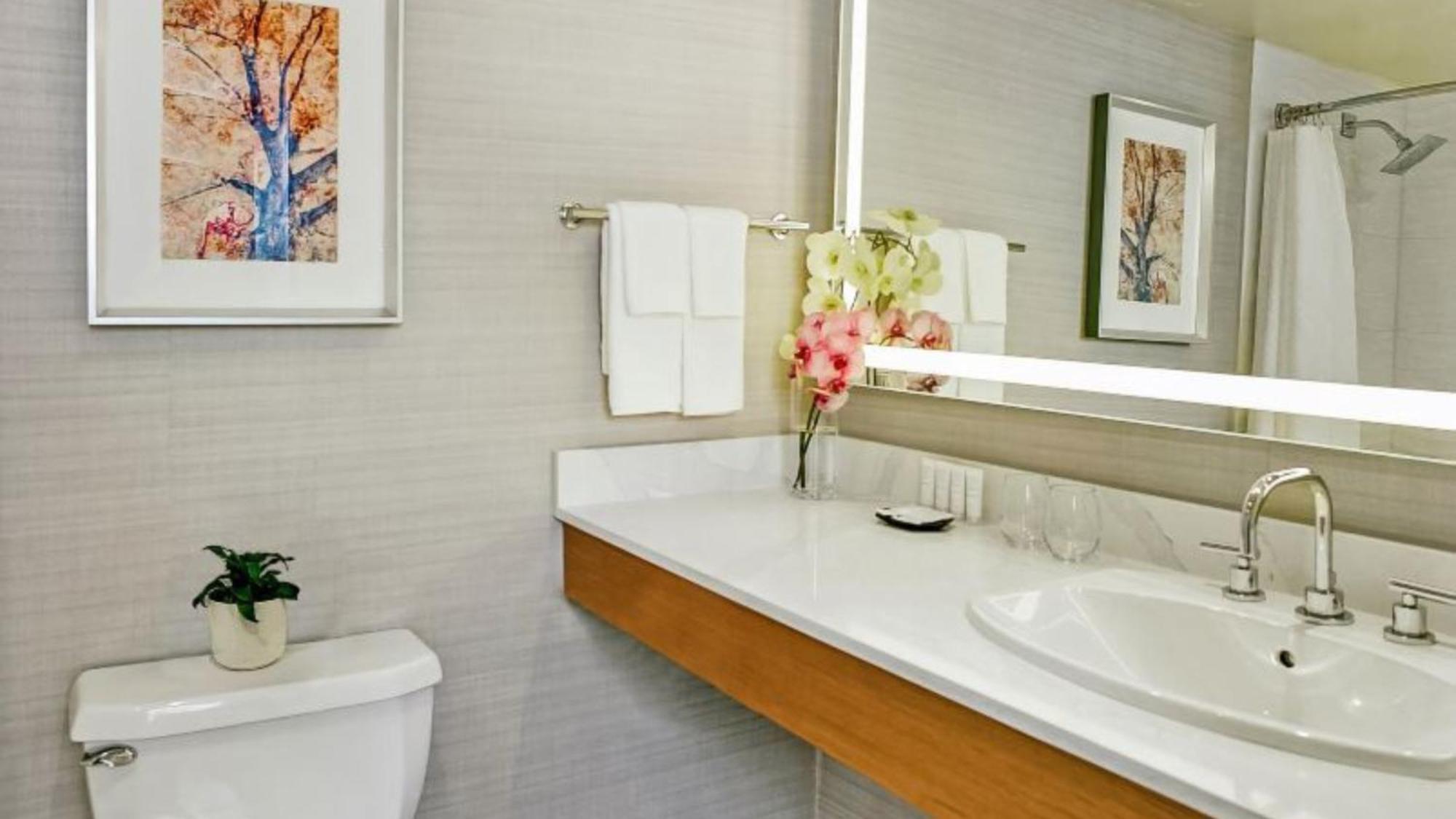 Standard Twin Room Mobility Accessible