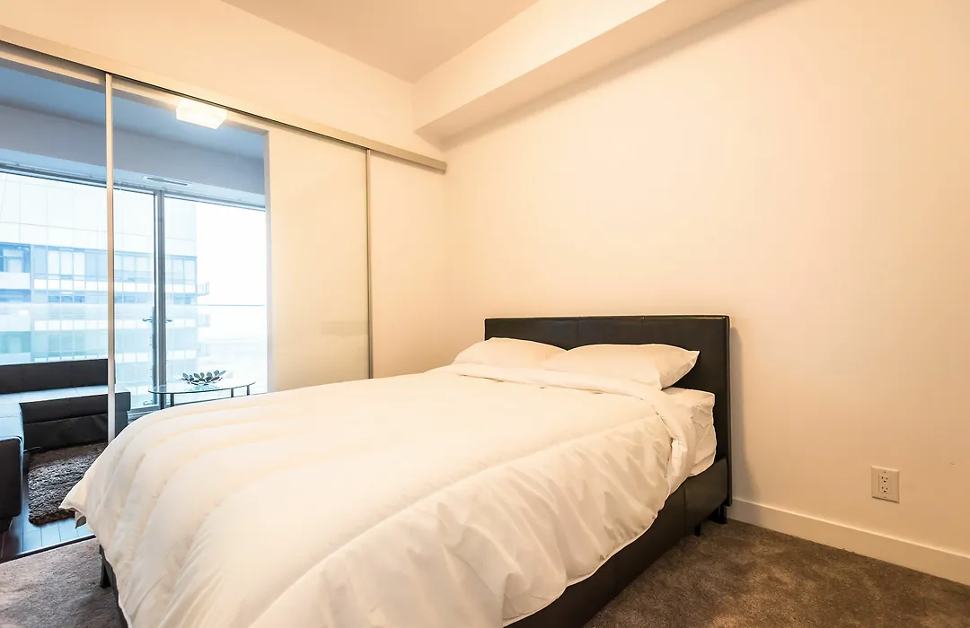 Downtown Luxury Lakeview Condo-1
