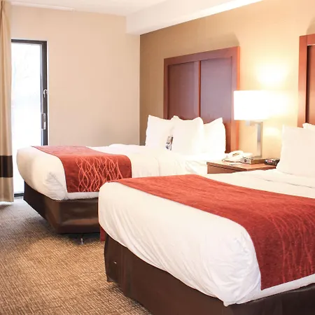 Comfort Inn Toronto North-2