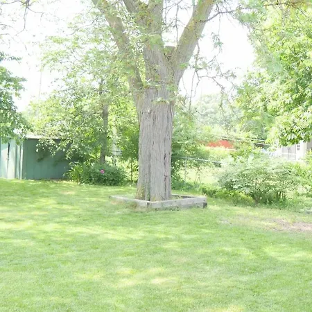 Richview Gardens Apartment-2