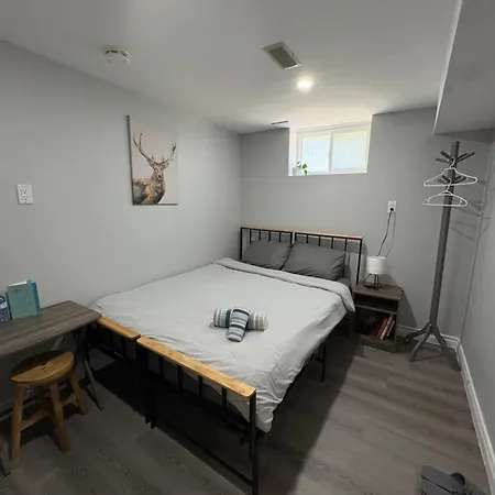 Guest House Basement - Master Bedrooms In Bayview Village-2